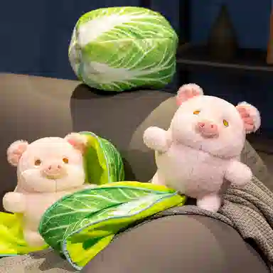 20cm