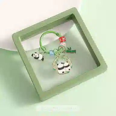 IP
