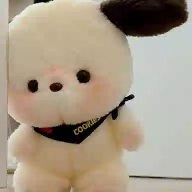 20cm