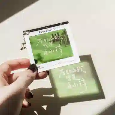 PETDIY