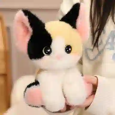 24cm