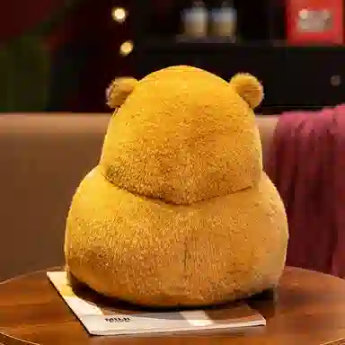 28cm