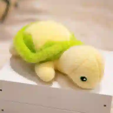 24cm34cm