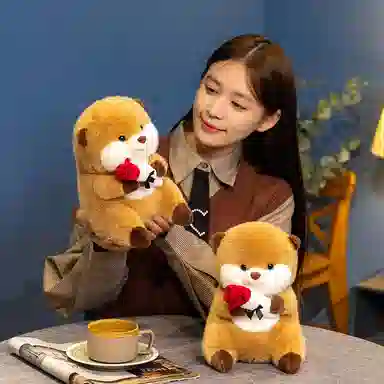 24cm