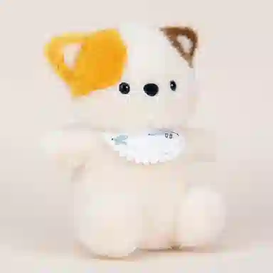 20cm