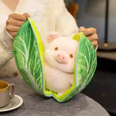20cm