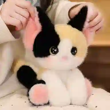 24cm