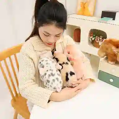 26cm