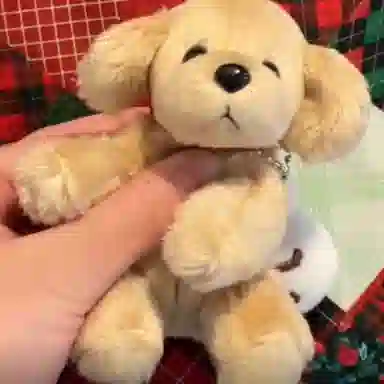 10cm