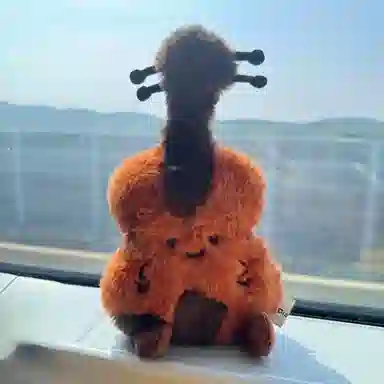 13cm