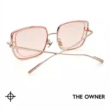 THE OWNER