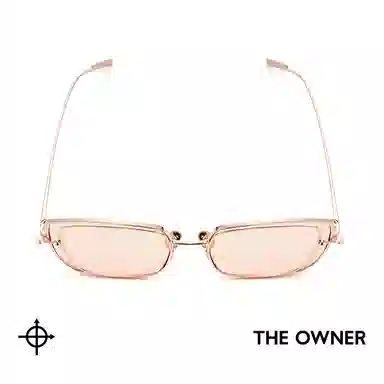 THE OWNER