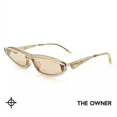THE OWNER