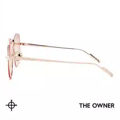 THE OWNER