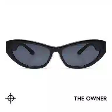 THE OWNER