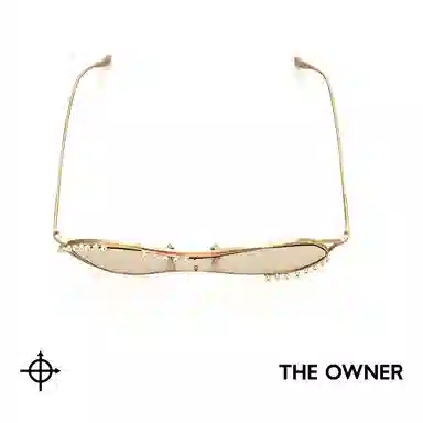 THE OWNER