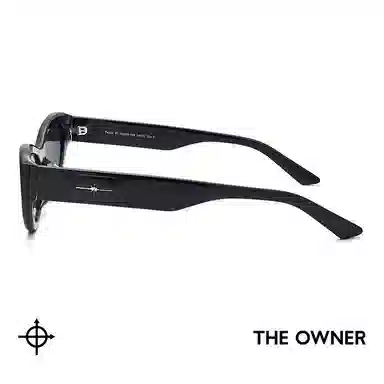 THE OWNER
