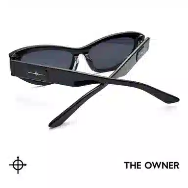 THE OWNER