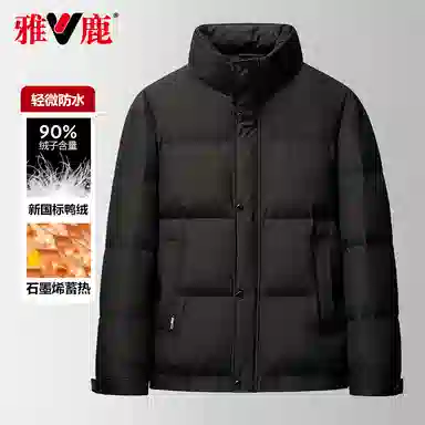 雅鹿 休闲时尚立领羽绒服 男款