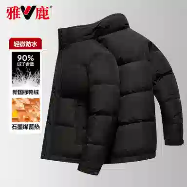 雅鹿 休闲时尚立领羽绒服 男款