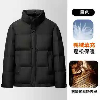 雅鹿 休闲时尚立领羽绒服 男款