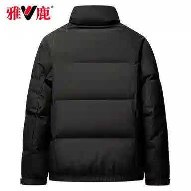 雅鹿 休闲时尚立领羽绒服 男款