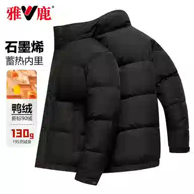 雅鹿 休闲时尚立领羽绒服 男款