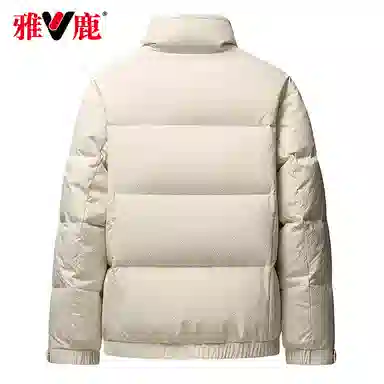 雅鹿 休闲时尚立领羽绒服 男款