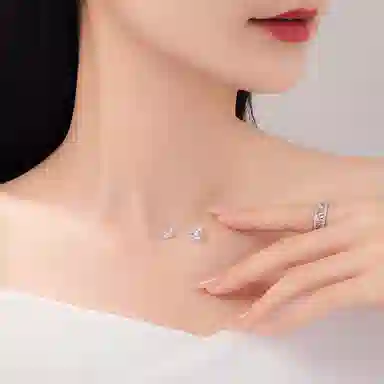FR s925