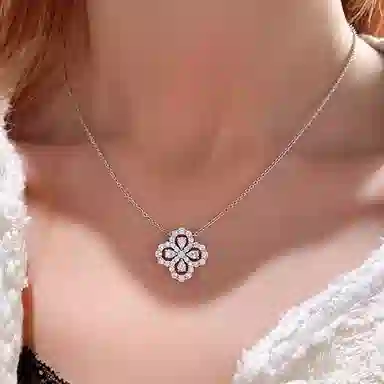 FR S925