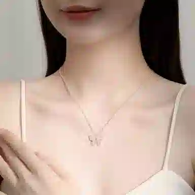FR S999