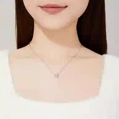 FR S999