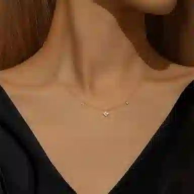 FR S925