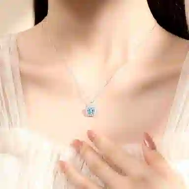 FR S999