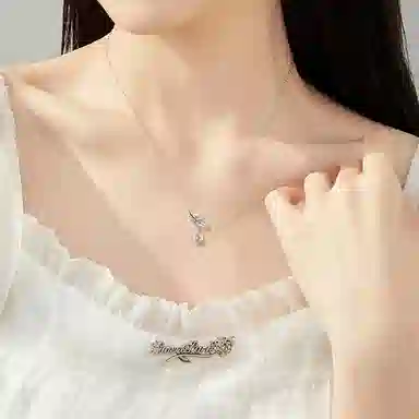 FR S925