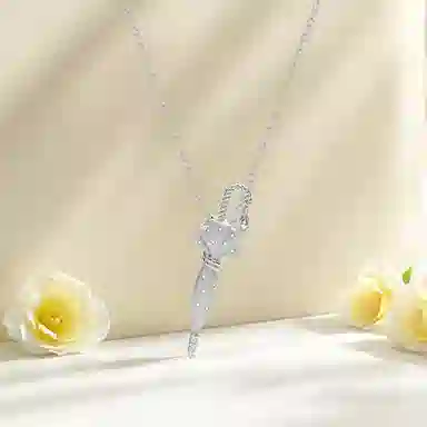 FR S925