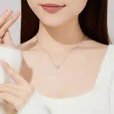 FR S999