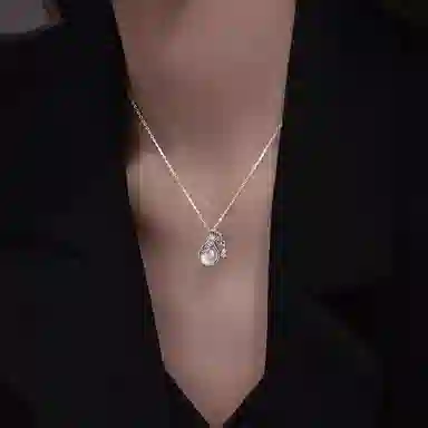 FR S925