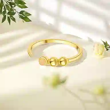 FR ins S925