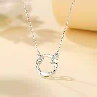 FR S925