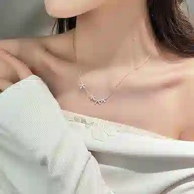 FR S925