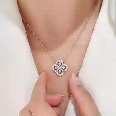 FR S925