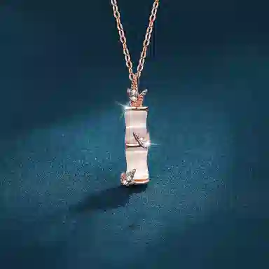 FR