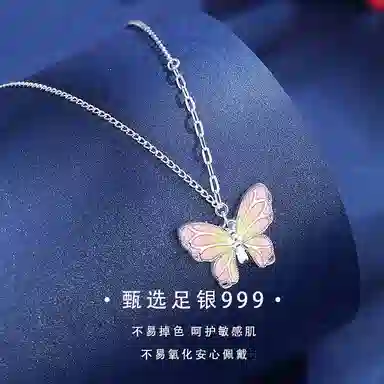 FR S999