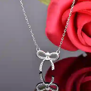 FR S925