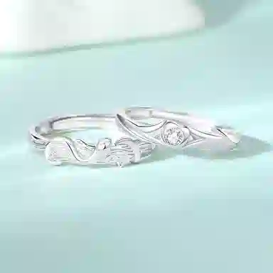 FR S925