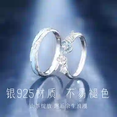 FR ins S925