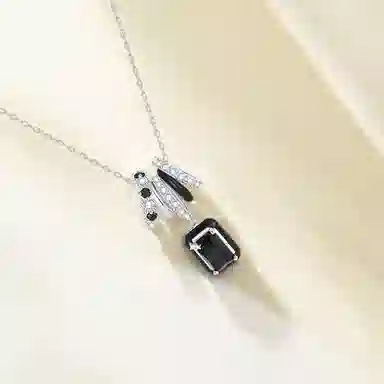 FR S925