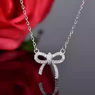 FR S925