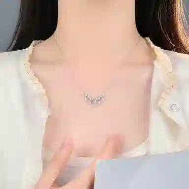 FR S999